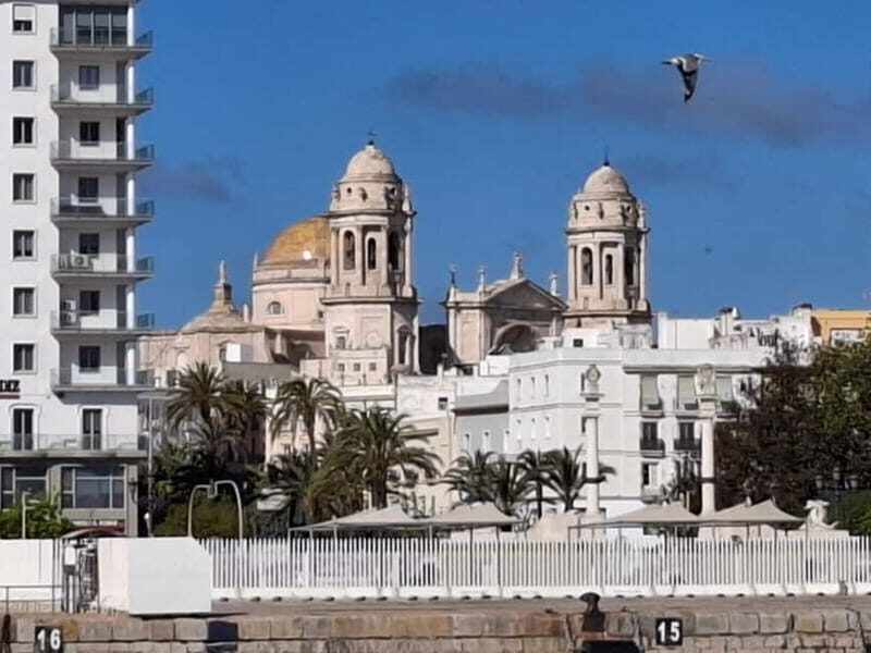 Cadiz and its Bay: a day trip from Seville - Why This Tour Offers Good Value