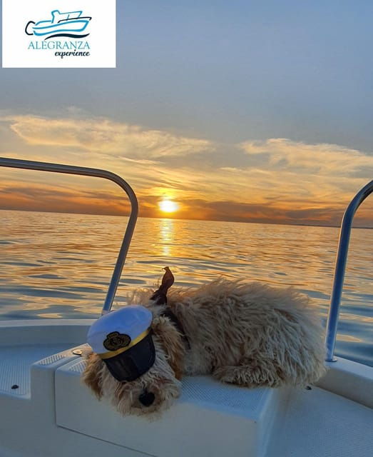 cadiz-bay-sunset-boat-tour-fall-in-love