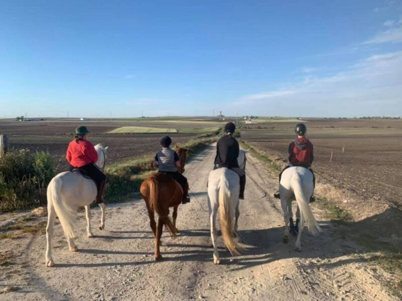 cadiz-country-side-ride-an-andalusian-horse