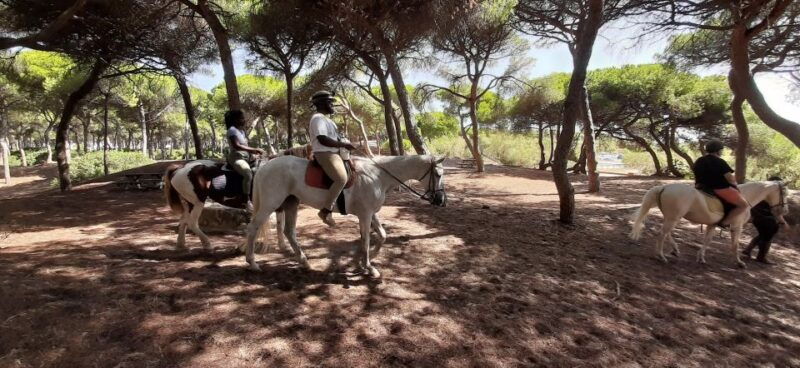 cadiz-country-side-ride-an-andalusian-horse