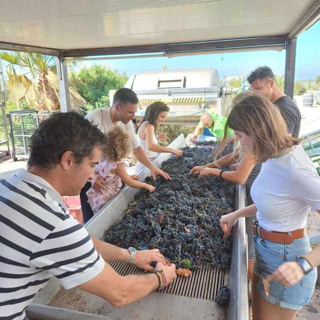 cadiz-countryside-finca-ecological-wine-tasting