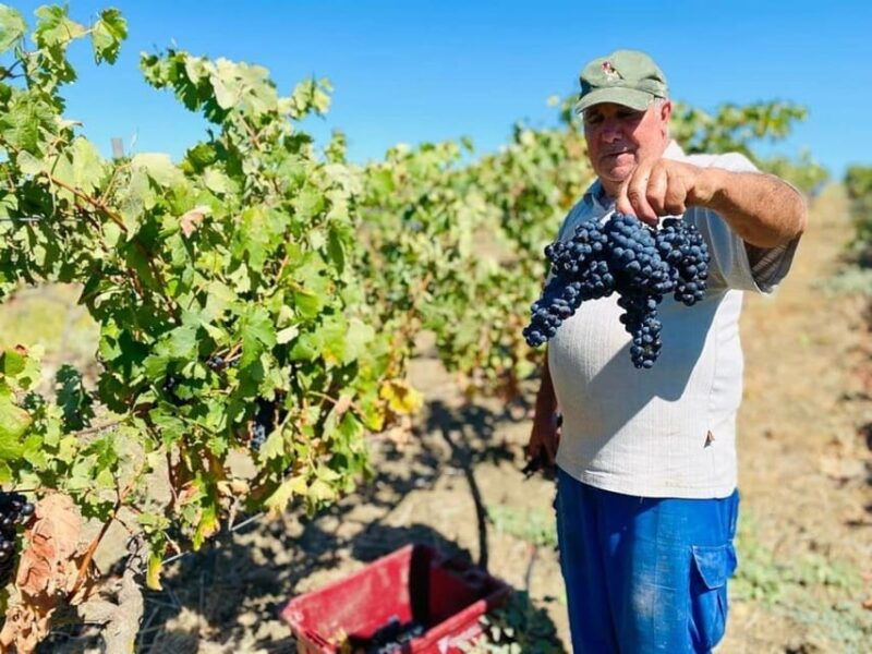 cadiz-countryside-finca-ecological-wine-tasting