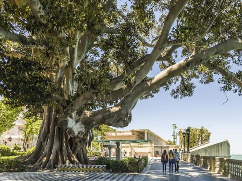Cadiz: Enigmas City Tour - The Value of the Cadiz: Enigmas City Tour