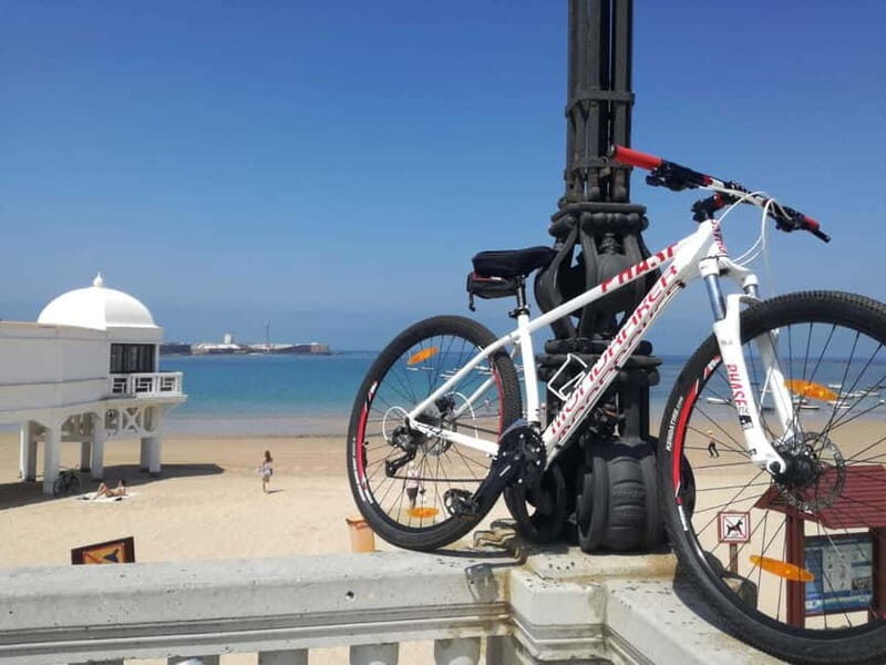 Cádiz: Guided Bike Tour - Exploring Cádiz on Two Wheels: What to Expect