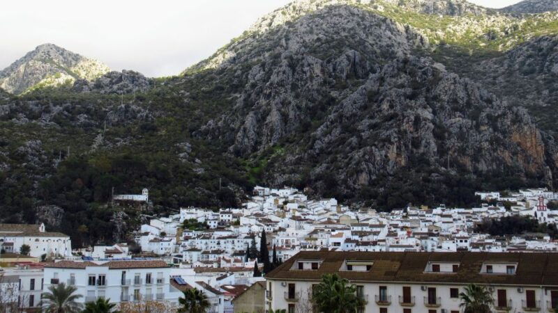 cadiz-jerez-or-el-puerto-white-towns-of-andalusia-day-trip