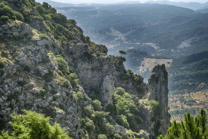 cadiz-jerez-or-el-puerto-white-towns-of-andalusia-day-trip