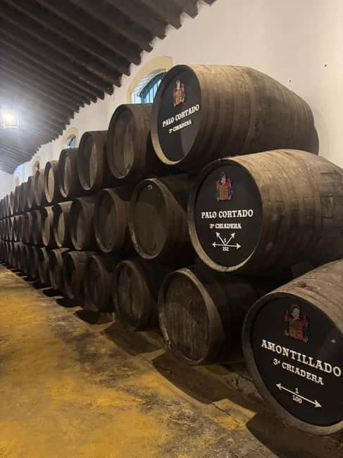 Cadiz: Private Tour with Wine Tasting - Final Thoughts