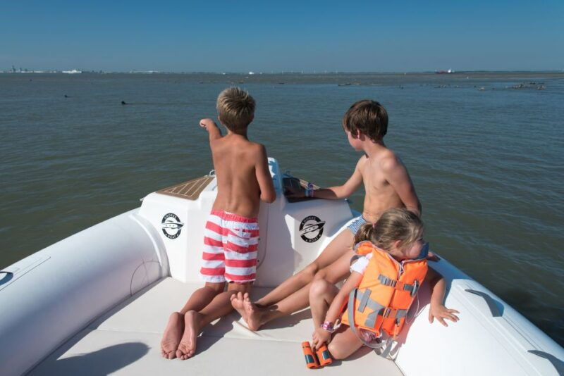 cadzand-seal-discovery-boat-tour-with-glass-of-champagne