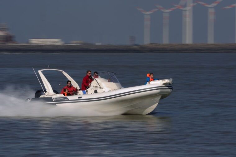 cadzand-seal-discovery-boat-tour-with-glass-of-champagne