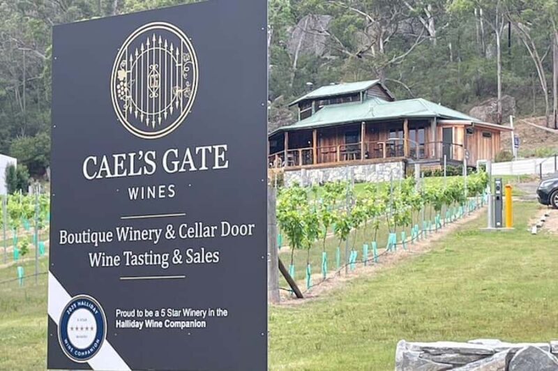 Cael's Gate Wine Tasting with Cheese and Charcuterie Board - Breaking Down the Experience — In Detail