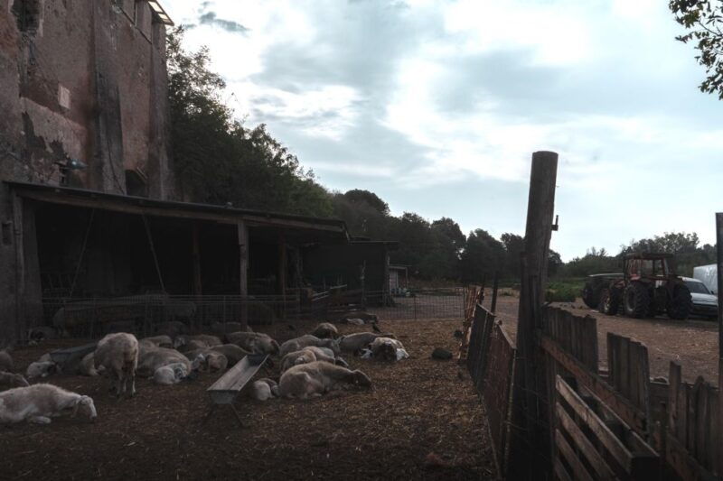 caffarella-park-romes-secret-urban-hiking-paradise