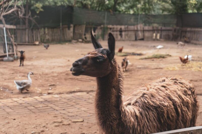 caffarella-park-romes-secret-urban-hiking-paradise