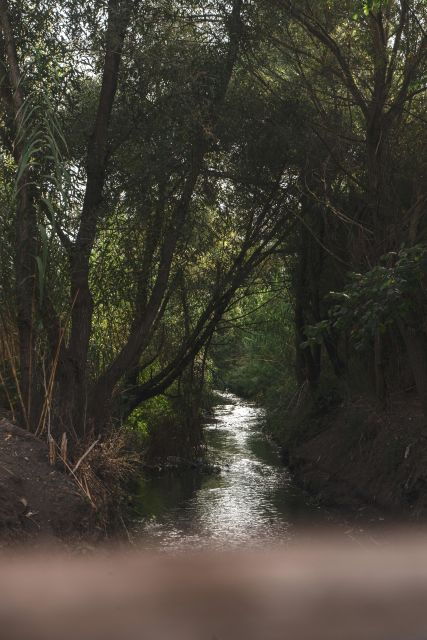 caffarella-park-romes-secret-urban-hiking-paradise