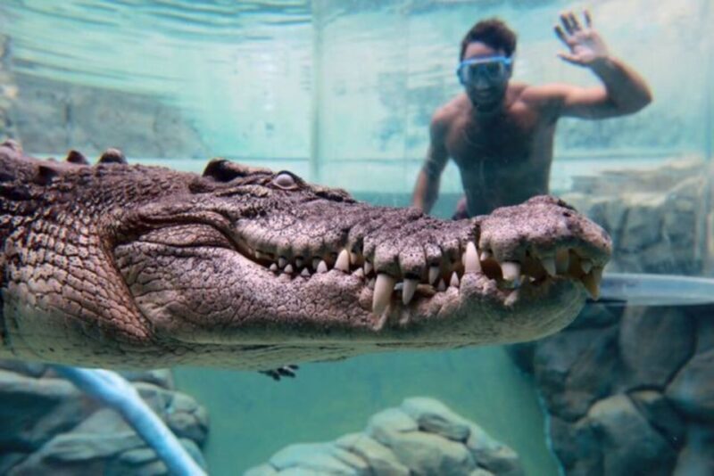 "Cage Of Death" Crocodile Swim and Entry to Crocosaurus Cove - Authentic Insights from Reviewers