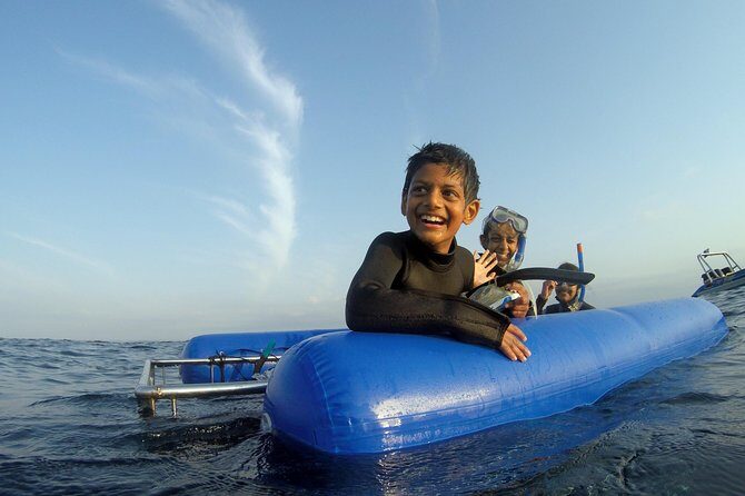Caged and Cageless Shark Snorkelling on Durban's Aliwal Shoal - What the Reviews Say
