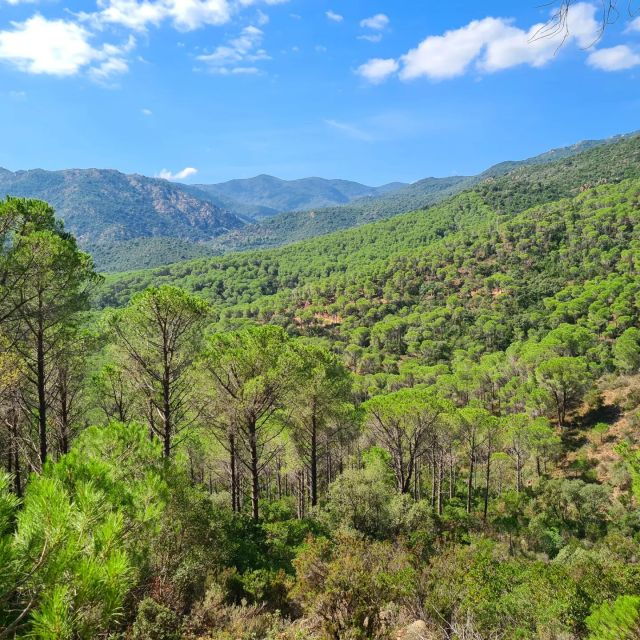 cagliari-amazing-sulcis-jeep-experience-from-iglesias