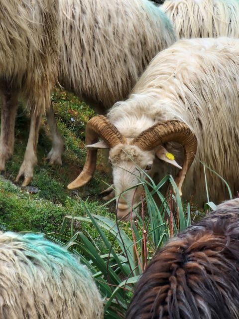 cagliari-amazing-sulcis-jeep-experience-from-iglesias