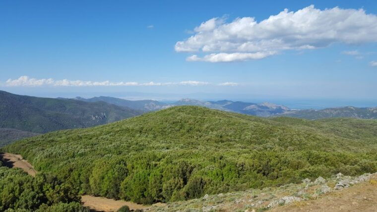 cagliari-amazing-sulcis-jeep-experience-from-iglesias