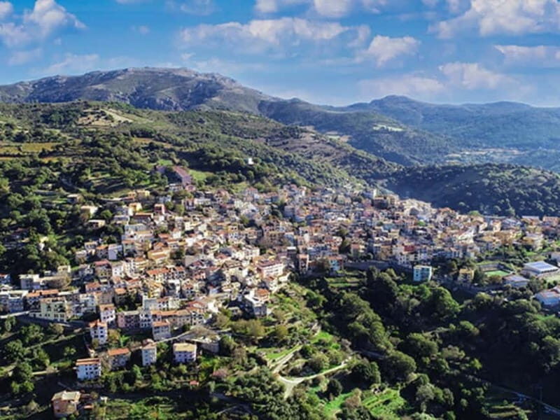 Cagliari: Blue Zone Experience Day Trip - The Experience’s Value and Practicality