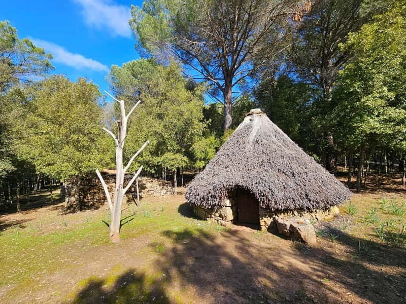 Cagliari: Blue Zone Experience Day Trip - Who Would Love This Tour?