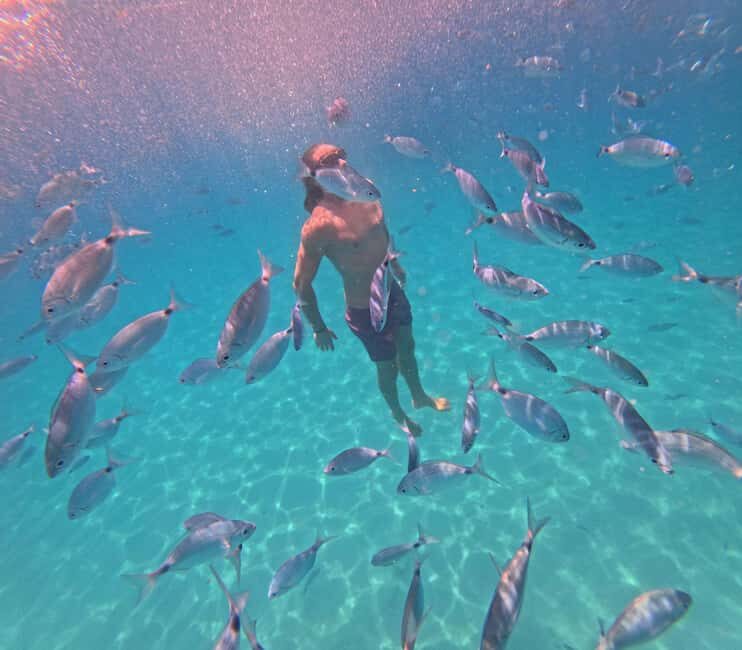 Cagliari: Boat Tour, 4 Stops, Swim, Snorkeling, & 1 Spritz - The Experience Provider