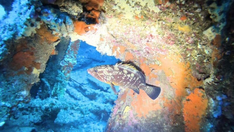 cagliari-discover-scuba-diving-for-beginners