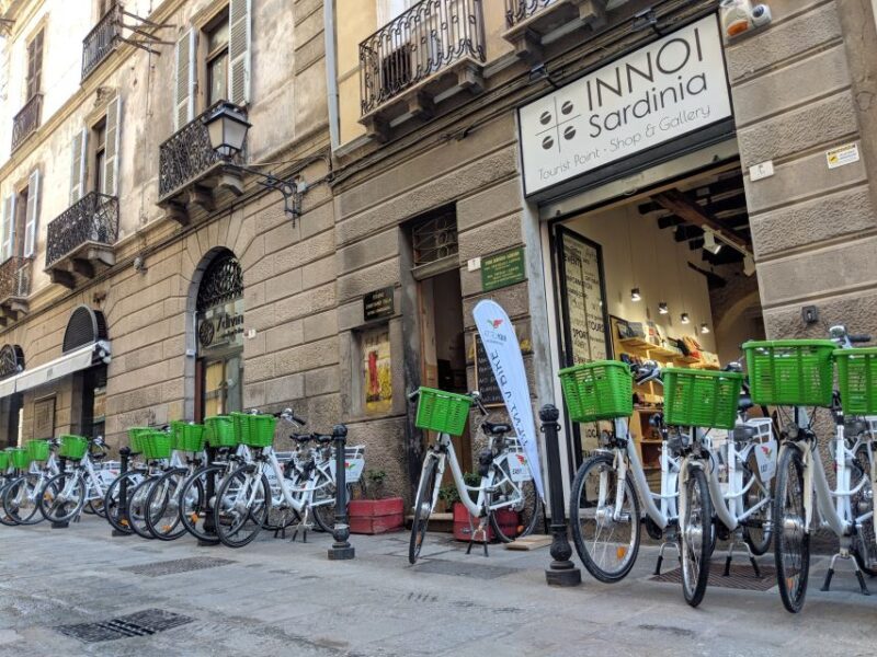 Cagliari E-Bike Tour: Canals & Flamingos at Molentargius - Key Points