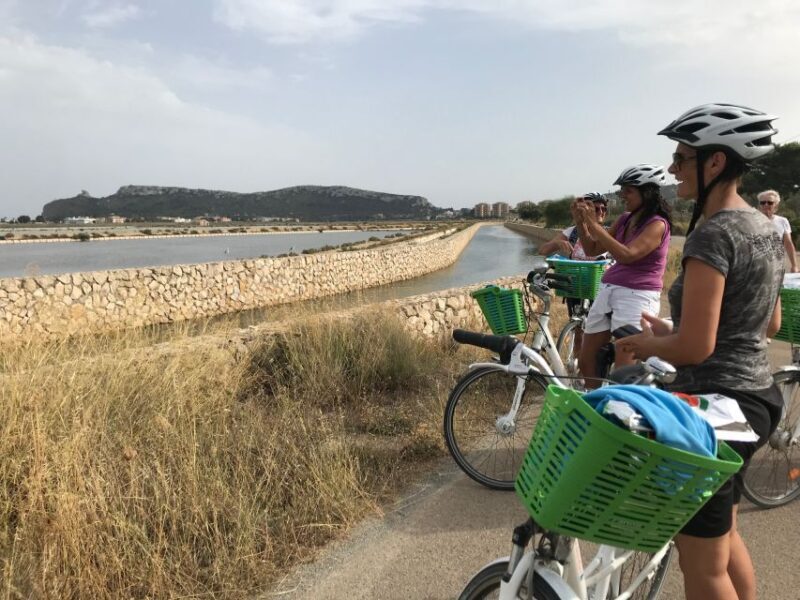 Cagliari E-Bike Tour: Canals & Flamingos at Molentargius - Who Will Love This Tour?