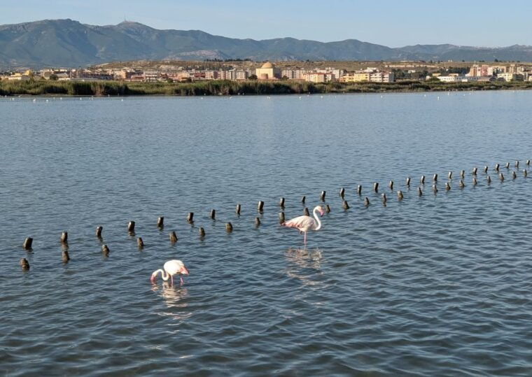 cagliari-electric-bike-nature-tour