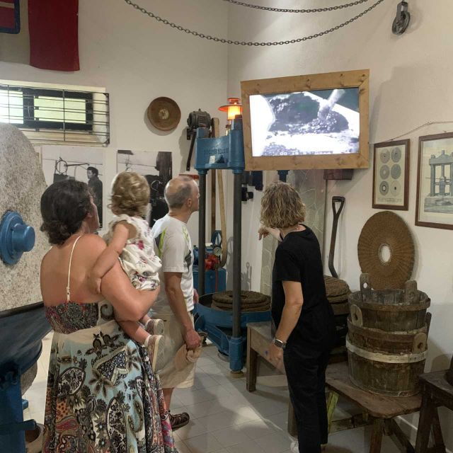 cagliari-exclusive-extra-virgin-olive-oil-tour-at-museum
