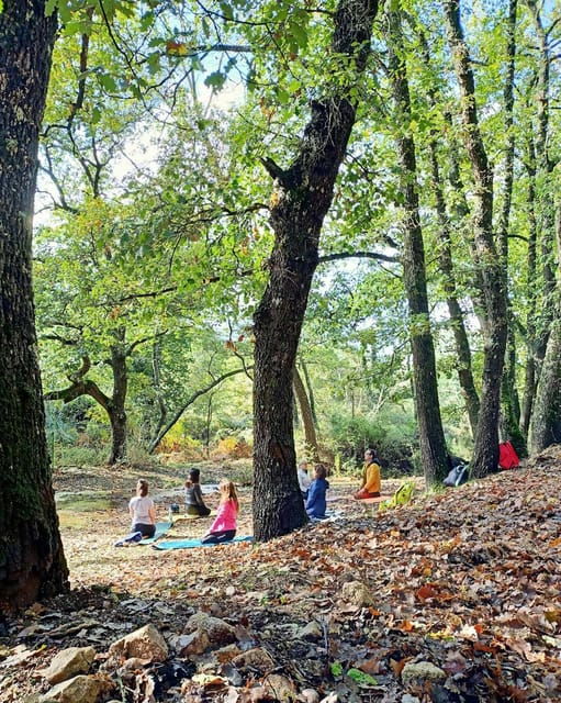cagliari-forest-bathing-at-sette-fratelli-park