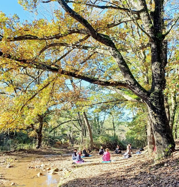 cagliari-forest-bathing-at-sette-fratelli-park