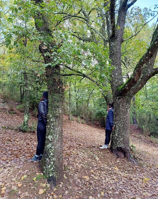 cagliari-forest-bathing-at-sette-fratelli-park