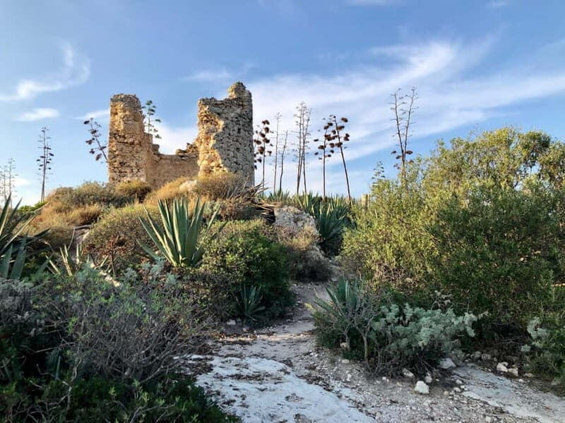 Cagliari: hike to the top of the Devil's Saddle - Cagliari: Hike to the Top of the Devils Saddle - A Complete Guide