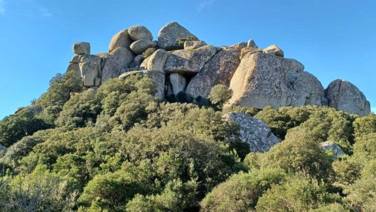 cagliari-hiking-on-the-deers-trail-in-sette-fratelli-park