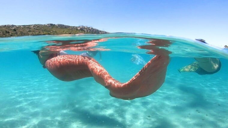 cagliari-mermaid-experience