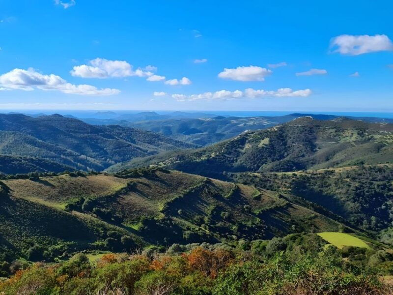 cagliari-nuraghe-adventure-3-hour-quad-tour-from-domus