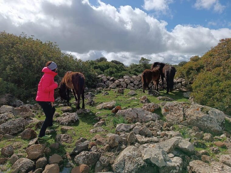cagliari-nuraghe-barumini-and-giara-park-with-wine-tasting