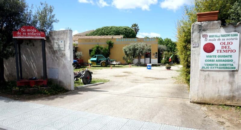 Cagliari Olive Oil Museum: Tours & Tasting a Dolianova - Cagliari Olive Oil Museum: Tours & Tasting a Dolianova – A Genuine Flavor of Sardinia