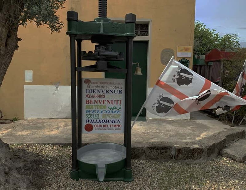 Cagliari Olive Oil Museum: Tours & Tasting a Dolianova - The Art of Tasting and Learning
