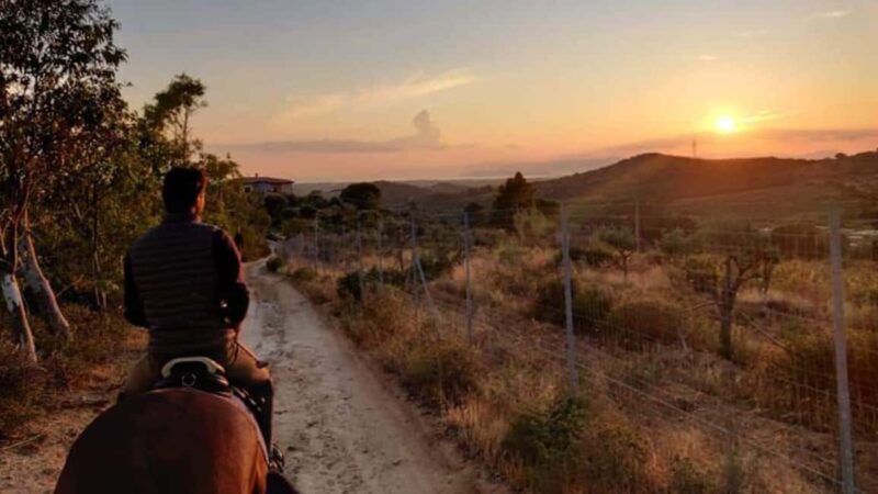 Cagliari: panoramic horseback riding - The Value of This Experience