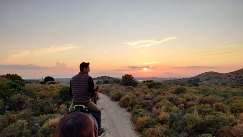 Cagliari: panoramic horseback riding - Final Thoughts