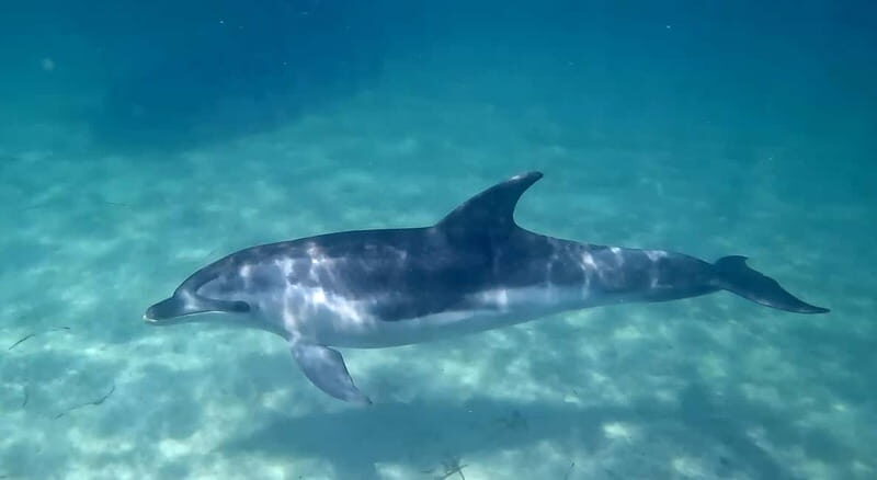 Cagliari: Private Boat Tour with Snorkeling & Beer - Relaxation, Snorkeling, and Scenic Views
