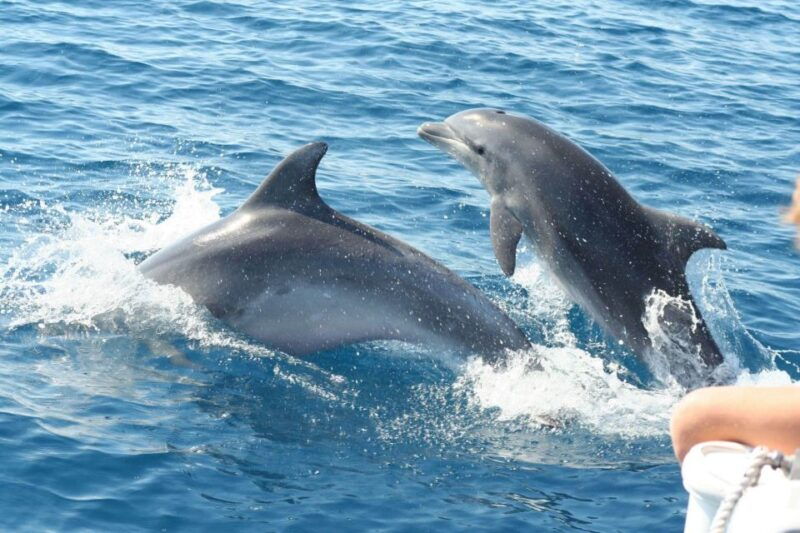 cagliari-private-or-small-group-fishing-trip-experience