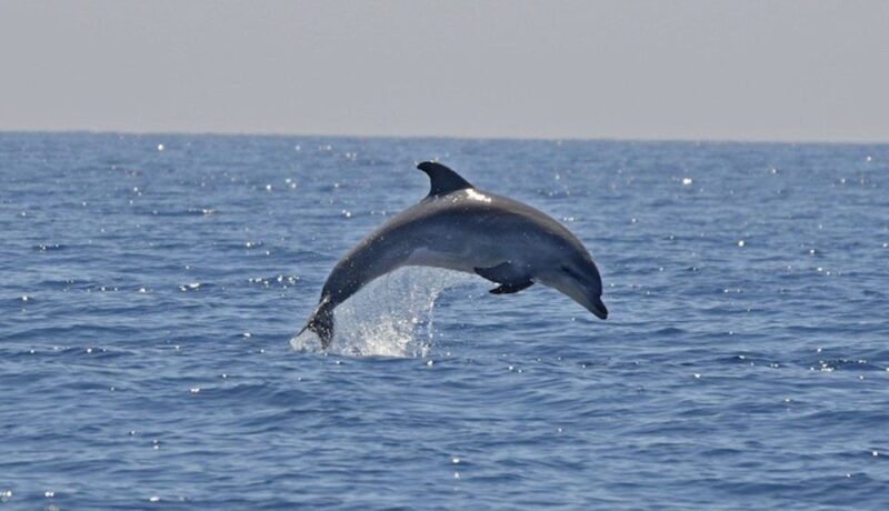 cagliari-southwest-chia-and-teulada-private-boat-tour