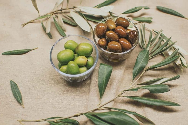 Cagliari: tasting of fine extra virgin olive oil - The Sum Up