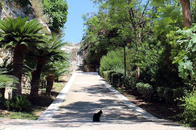 Cagliari urban trekking experience: the city you did not expect - Who Will Love This Tour?
