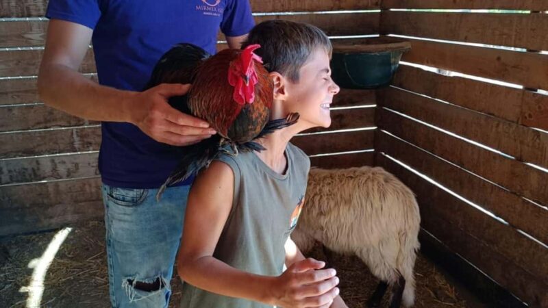 Cagliari: visit the animals of a farm - What the Tour Includes and Why It Matters