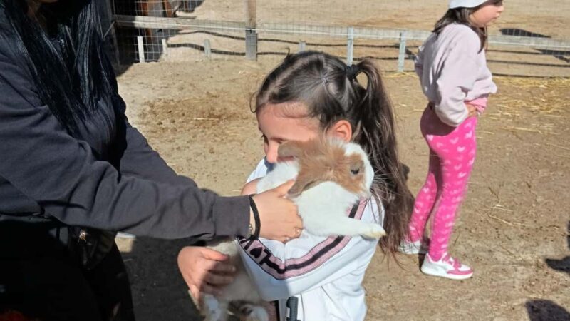 Cagliari: visit the animals of a farm - Frequently Asked Questions