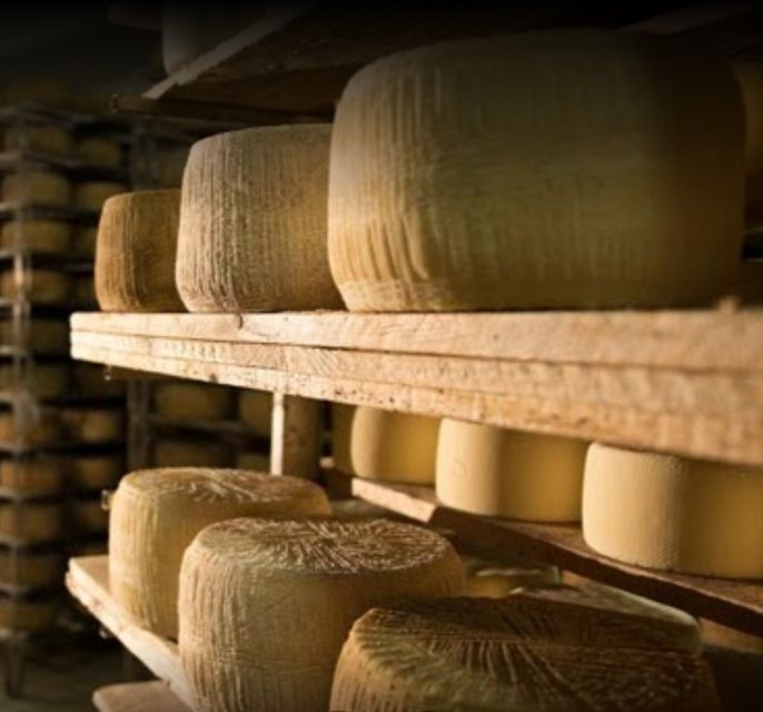 cagliari-wine-cheese-and-olive-oil-tasting-experience